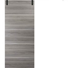 Barn Sliding Grey Door Planum