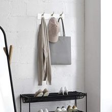 AmazonBasics Wall Mounted Modern Coat Rack