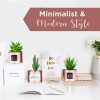 Office Decor for Women Desk- Rose