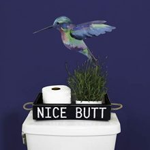 Nice Butt Bathroom Decor Box, 2 Sides with Funny Sayings
