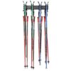 Ski Wall Rack for Home and Garage Storage, Wall Mounted
