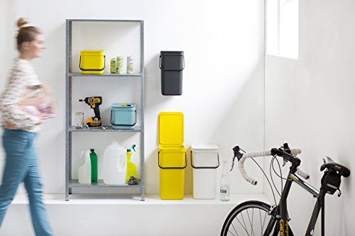 Brabantia Sort & Go Waste Bin 12 L, Mint