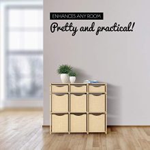 Cube Organizers and Storage Shelves Unit