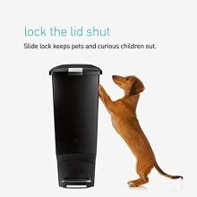 simplehuman 40 Liter / 10.6 Gallon Slim Kitchen Step