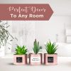 Office Decor for Women Desk- Rose