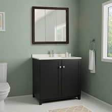 Framed Mirrored Medicine Cabinet in Espresso