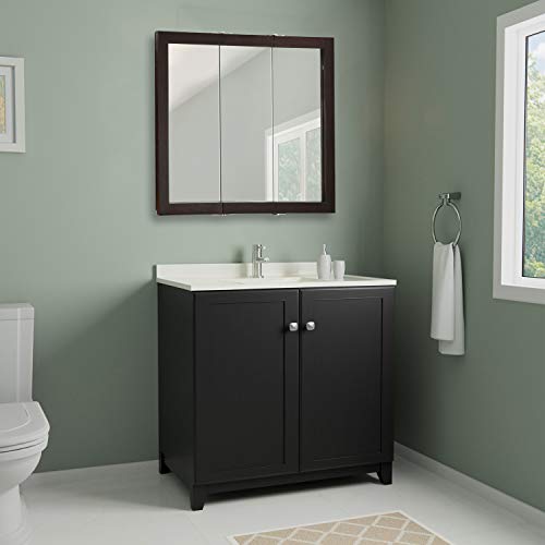 Framed Mirrored Medicine Cabinet in Espresso