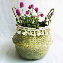 Storage Basket, Woven Plant Basket