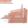 File Holder Organzier with 3 Letter Tray