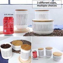 Ceramic Food Storage Canister with Airtight Wooden Lid