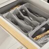 Spectrum Diversified Hexa 5-Divider Buildup-Resistant Organizer