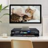 Metal Mesh Desk Organizer with Dual Pull