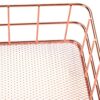 Stainless Steel Metal Wire Storage Baskets for Kitchen Shelf