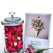 GY Shining Decorative Crystal Terrarium Clear Glass 500ml Wedding Decoration