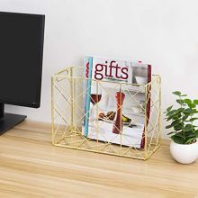 File Folder and Document Holder Organizer Basket Bin