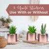 Office Decor for Women Desk- Rose