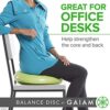 Gaiam Balance Disc Wobble Cushion Stability Core Trainer