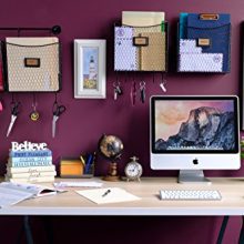 Wall35 Cestino Magazine Holder and File Organizer Wall Mount