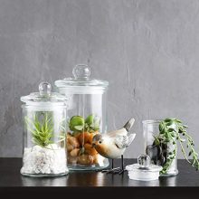 KMwares 3PCs Set Small Mini Clear Glass Premium Quality Apothecary Jars