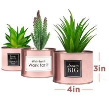 Office Decor for Women Desk- Rose