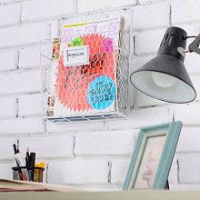 Chicken Wire Wall-Mounted Metal Magazine Organizer Basket