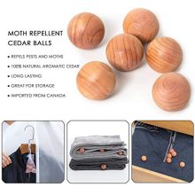 allhom dust Proof Garment Bags - Set of 6 pcs 40 inch