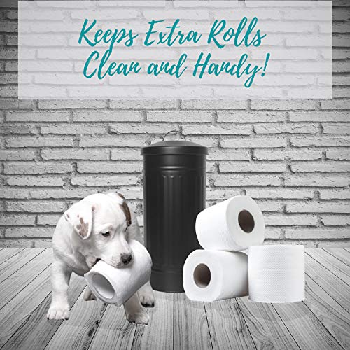 Autumn Alley Black Toilet Paper Reserve Holder Canister with Lid