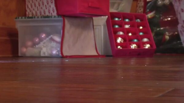 Paula Deen Christmas Tree Storage Organizer & Storage Container