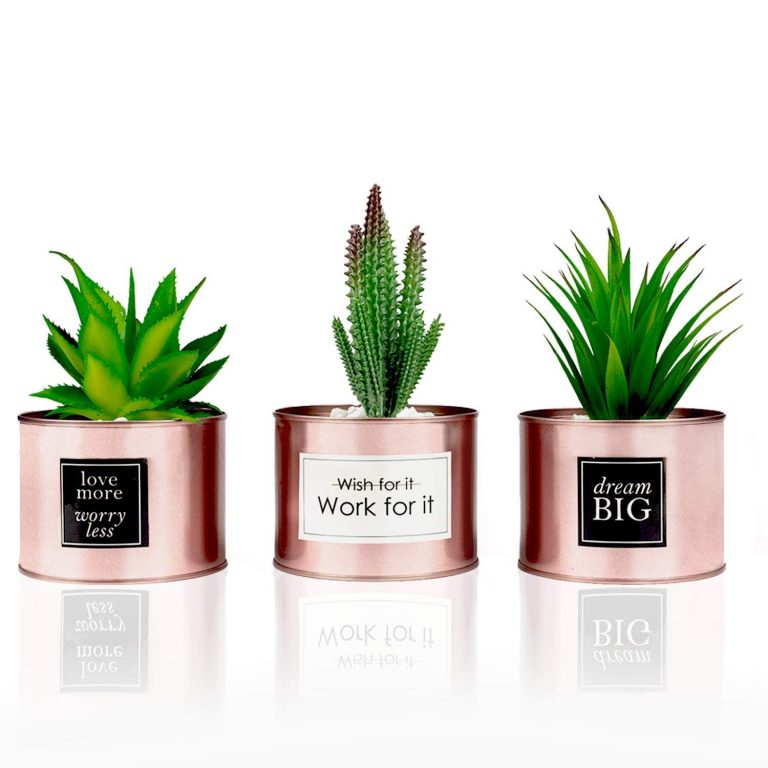 Office Decor for Women Desk- Rose