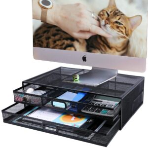 Metal Mesh Desk Organizer with Dual Pull