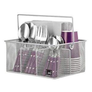Kitchen Condiment Organizer and Flatware Utensil Caddy