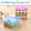Refrigerator Kitchen Storage Egg Visible Tray Case