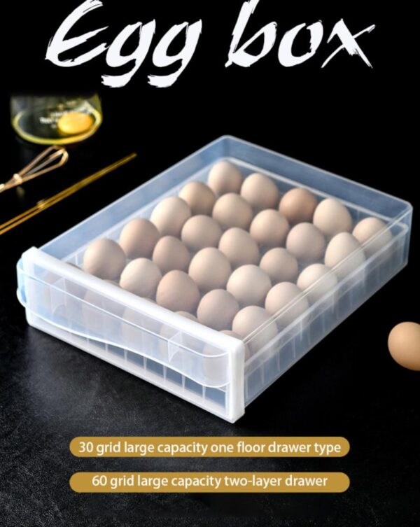 60 Grid Large Capacity Egg Holder