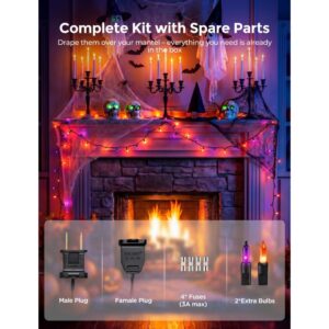 Vintage Purple & Orange Halloween String Lights (20Ft / 100 Bulbs - Connectable)
