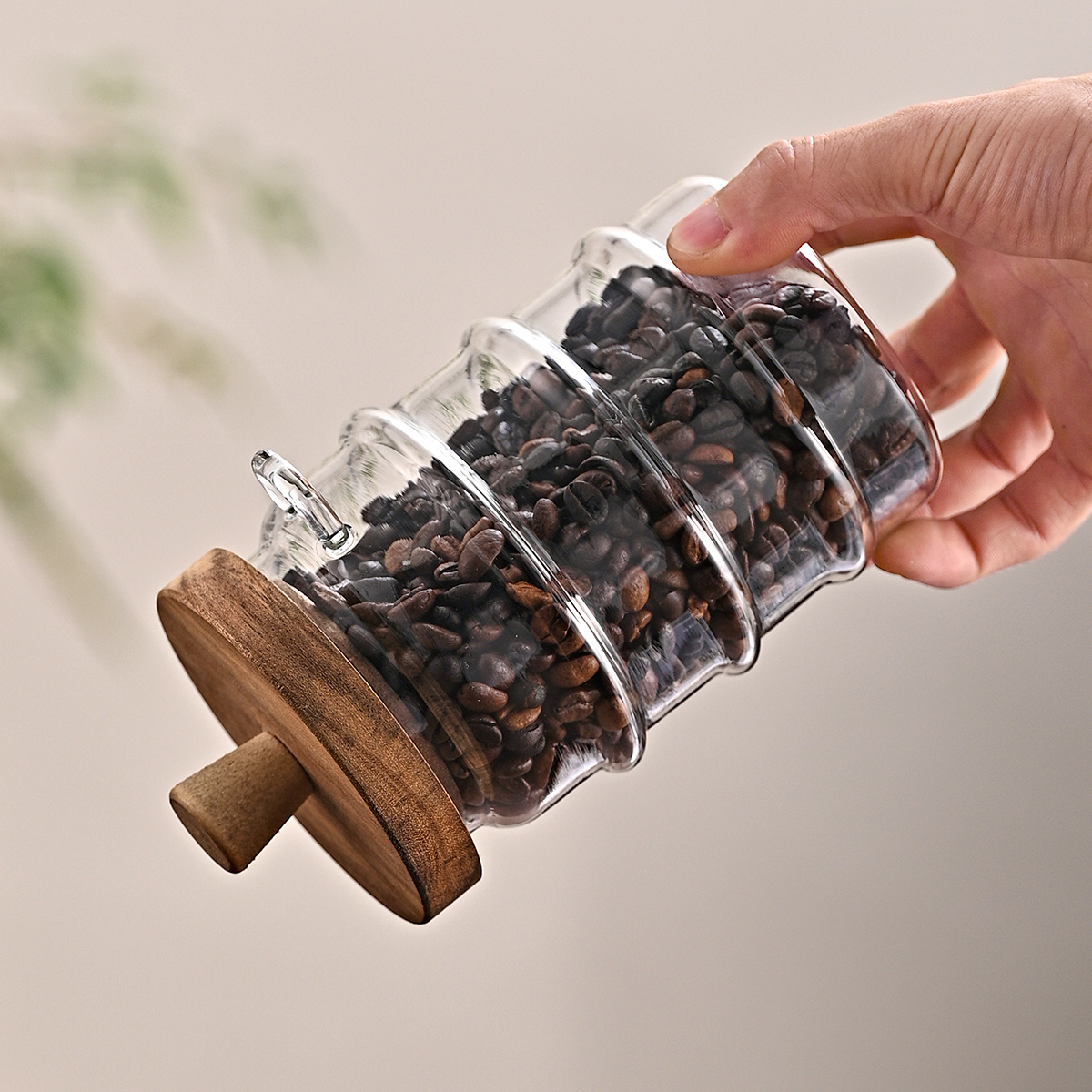 Natural Organic Wood Grain Texture on Acacia Canister Lid